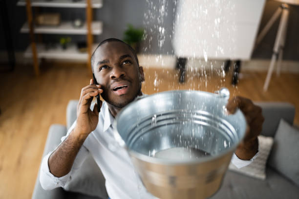 Best Mold removal after water damage  in Clayton, MO
