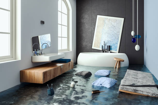 Best Residential water damage restoration  in Clayton, MO