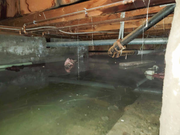 Best Water damage restoration near me  in Clayton, MO
