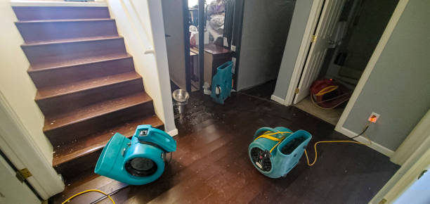 Best Flooded house restoration  in Clayton, MO