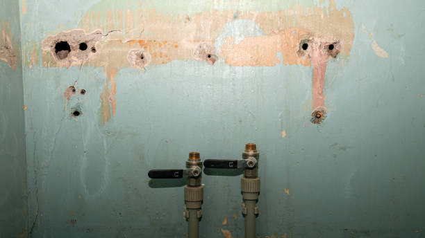 Best Flooded house restoration  in Clayton, MO
