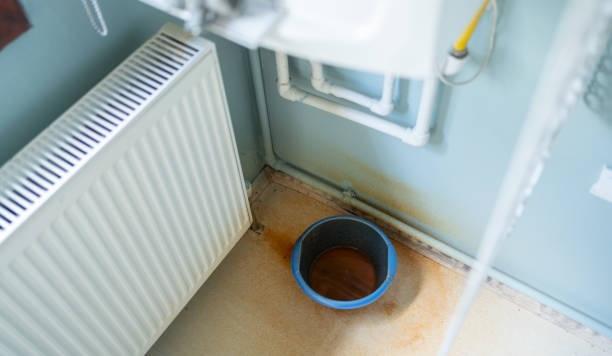 Best Commercial water damage restoration  in Clayton, MO