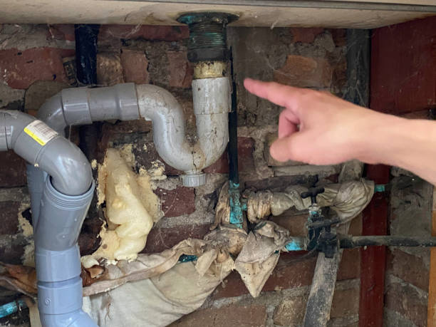 Best Local water damage restoration  in Clayton, MO