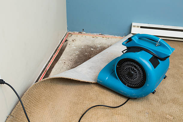 Reliable Clayton, MO Water damage restoration Solutions