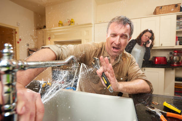 Best Local water damage restoration  in Clayton, MO